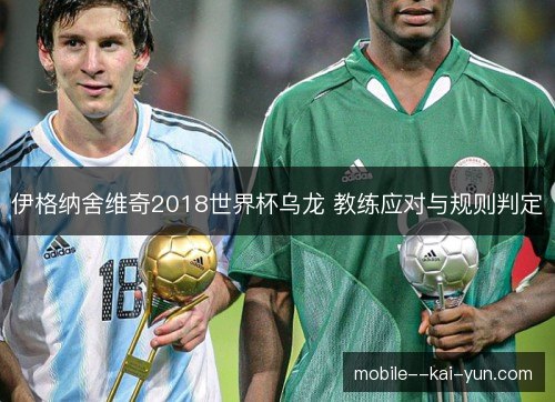 伊格纳舍维奇2018世界杯乌龙 教练应对与规则判定